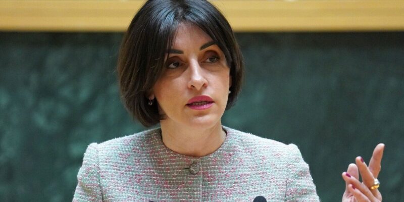 bochorishvili parlament e1778786918479 News