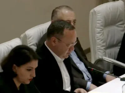 cagareishvili новости вакансии, Георгий Цагареишвили, рынок труда в Грузии, трудоустроенное население, трудоустройство