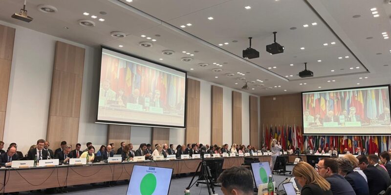 Ukrainian Foreign Minister Thanks Georgia for Support at Emergency OSCE Meeting 1 hjqspebxmaazjwv News