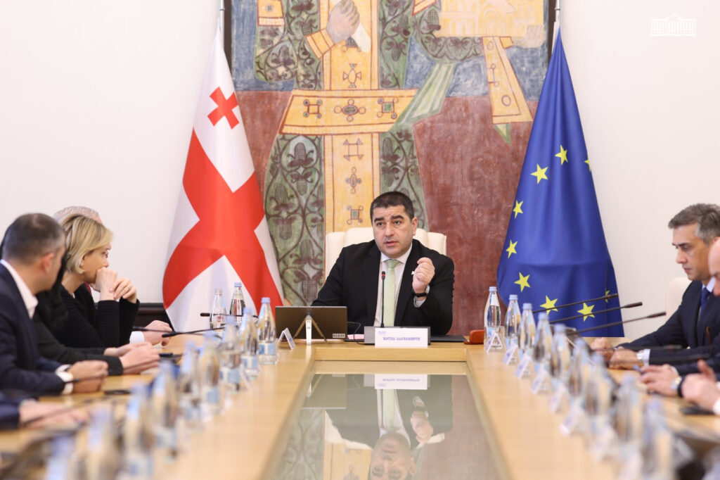 papuashvili shalv новости Грузия-Европарламент, отчет Европарламента, Спикер парламента, Шалва Папуашвили