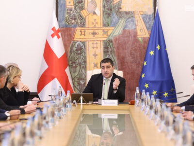 papuashvili shalv отчет Европарламента отчет Европарламента