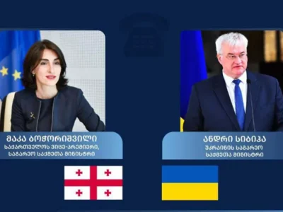sibiga bochorishvili Грузия-Украина Грузия-Украина