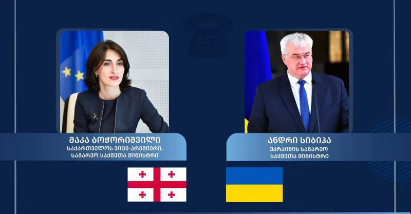 sibiga bochorishvili News
