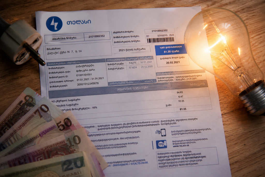tarifi новости Минздрав Грузии, многодетные семьи, социально незащищенные, социально уязвимые семьи, тариф на свет, электроэнергия в Грузии