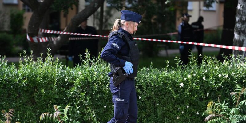 Гражданин Грузии обвинен в убийстве Скрепецкого в Польше 1 77576741 403.jpg Deutsche Welle Семен Скрепецкий