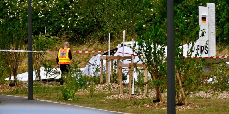77743618 403.jpg Deutsche Welle крушение во Франции, крушение самолета