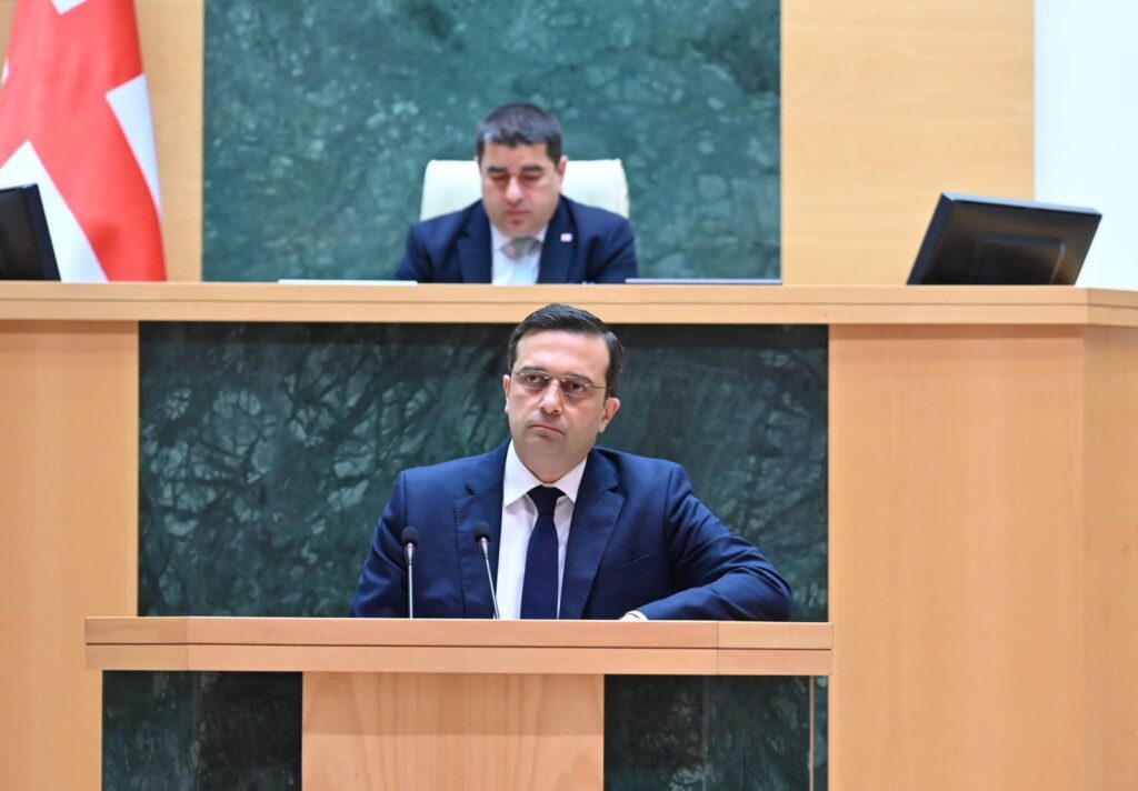 ioseliani новости задержанные на акции протеста, Омбудсмен Грузии, проевропейские акции протеста, протест в Грузии