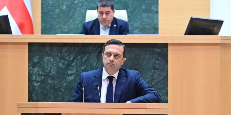 ioseliani новости задержанные на акции протеста, Омбудсмен Грузии, проевропейские акции протеста, протест в Грузии