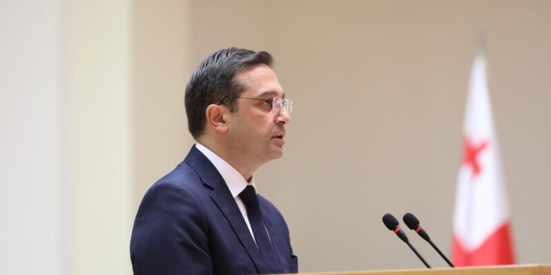 Georgian Ombudsman speaks on rights protection in occupied territories 1 ioseliani levan News