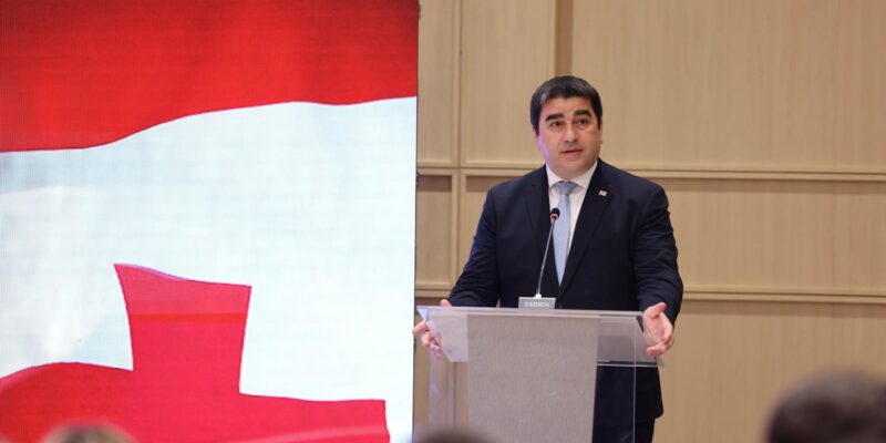 Speaker: France itself regularly interferes in Georgia's internal affairs 1 papuashvili papu News