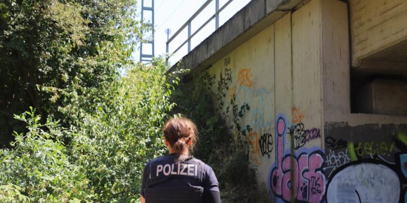 Леворадикалы признались в диверсии на железной дороге ФРГ 1 77916333 403.jpg Deutsche Welle железная дорога, левые радикалы в Германии, поджог
