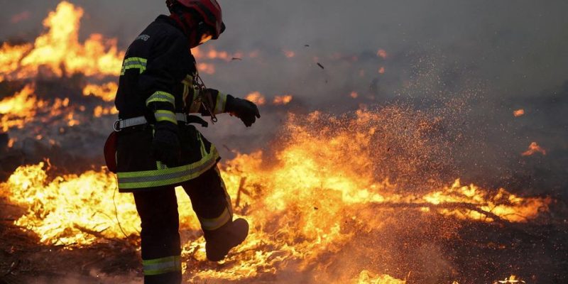 Лесные пожары: во Франции готовят эвакуацию еще 55 тысяч человек 1 78117423 403.jpg Deutsche Welle Франция