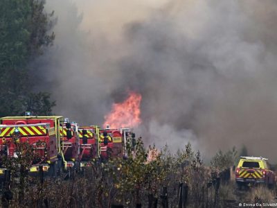 78137902 403.jpg Deutsche Welle лесные пожары