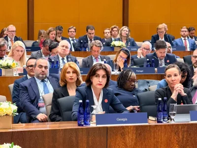 Maka Botchorishvili: Political Terrorism Threatens Democracy and State Sovereignty 2 bochorishvili News