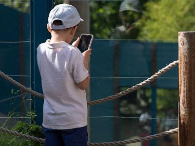 Ребенок стоит у веревочного заграждения в зоопарке, уткнувшись в телефон