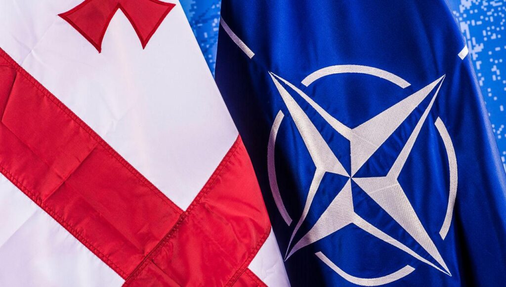 Дипломаты: саммит НАТО в Анкаре - еще один шаг Грузии в самоизоляцию 1 nato gruzia новости Мака Бочоришвили, МИД Грузии, Общество дипломатов Грузии, саммит НАТО в Анкаре