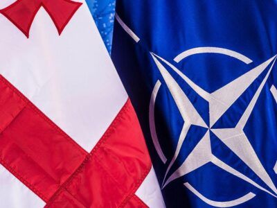 Дипломаты: саммит НАТО в Анкаре - еще один шаг Грузии в самоизоляцию 2 nato gruzia новости Мака Бочоришвили, МИД Грузии, Общество дипломатов Грузии, саммит НАТО в Анкаре