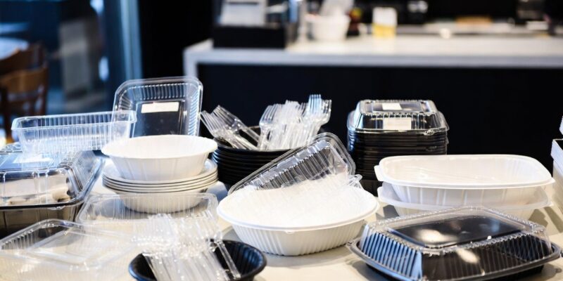 Georgia Postpones Ban on Plastic in Catering to 2027 1 plastik News
