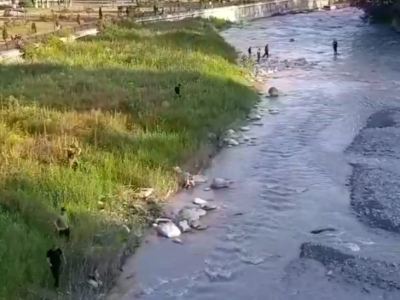 screenshot 2026 07 26 195103 News