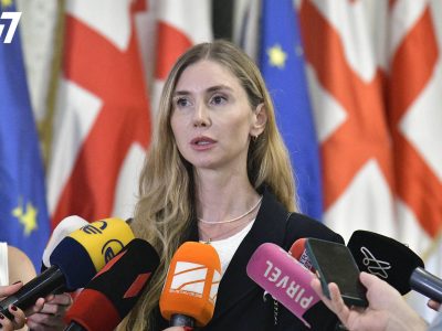 Тина Бокучава: приход новых людей в партию — это тяжелая борьба, главное — достоинство и принципы 2 bokuchava 2 новости