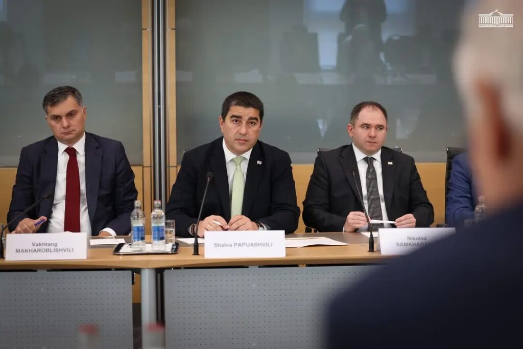 Спикер парламента Грузии в ходе визита в Люксембург раскритиковал ЕС 1 img 1 1790249438843 новости
