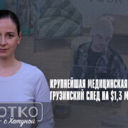 konji shorts thumbnale youtube 2 Fact or Fake афера, Грузия-США, медстраховка, страховка, Эрекле Гугава