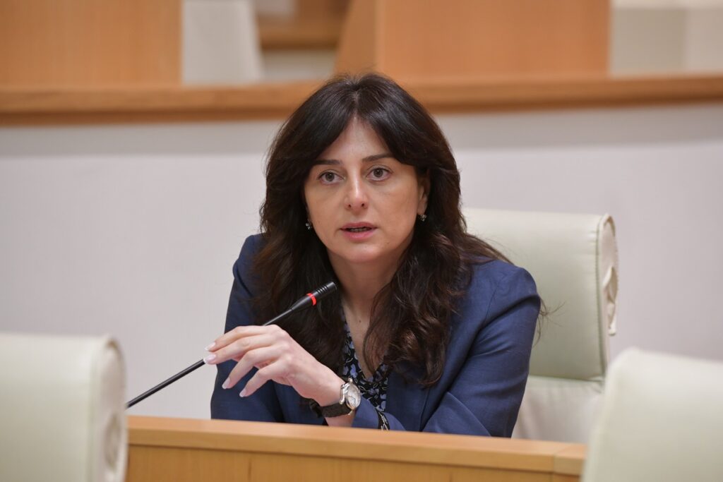 MP Maia Bitadze Appointed Georgia's Minister of Culture 1 maia bitadze News