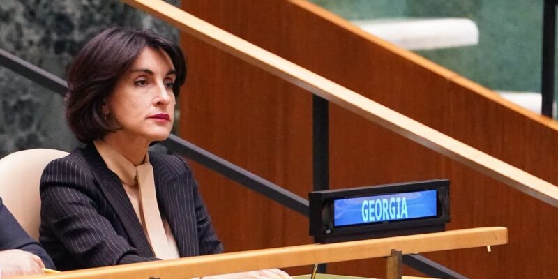 Georgian Foreign Ministry Accuses EU of Pressuring Court and Interfering in Country’s Internal Affairs 1 maka bochorishvili News