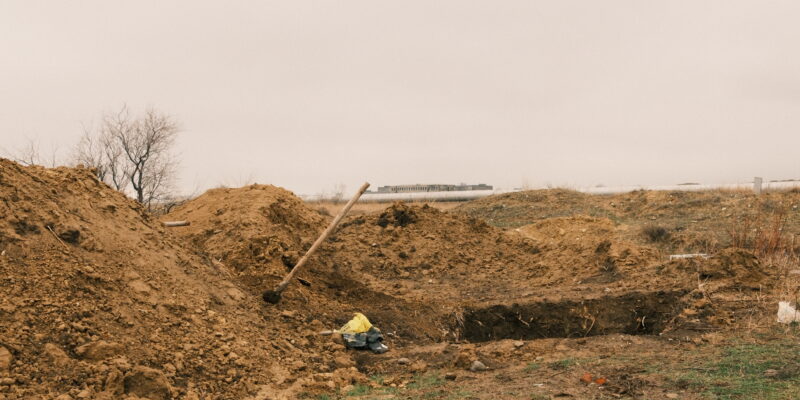 Georgian Animal Rights Activists Demand Investigation into Suspected Mass Dog Grave 1 1a4d6994 2899 447b 1019 08de3bed1b27 News