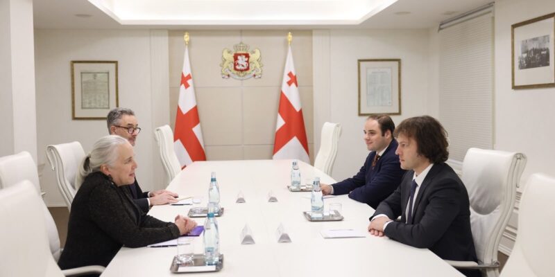 Georgian Prime Minister Meets with Acting US Ambassador 1 8c6c6653 2d49 430a 48c6 08df13a884cb News