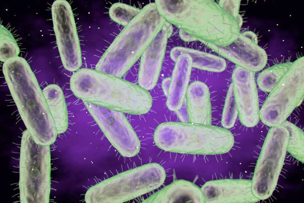 3D-иллюстрация бактерии чумы Yersinia pestis. Это грамотрицательные неподвижные палочковидные бактерии вызывают бубонную чуму