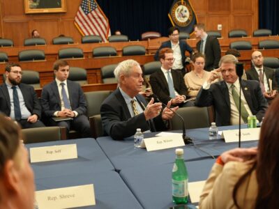 joe wilson s Выборы 2024