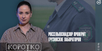 konji shorts thumbnale youtube 11 политика featured, грузинское вино, Грузия.Россия, Россельхознадзор, эмбарго России