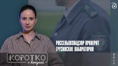 konji shorts thumbnale youtube 11 SOVA-блог featured, грузинское вино, Грузия.Россия, Россельхознадзор, эмбарго России