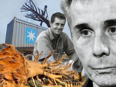 Южноафриканские СМИ предполагают, что за скандалом с баобабами стоит Иванишвили 2 tony newtreemain 504490 новости